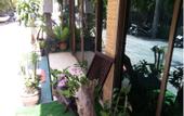 Туры в отель Sarnfun Guesthouse