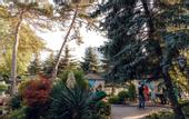 Туры в отель Dayana Hotel