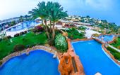 Туры в отель Royal Regency Club