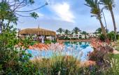 Туры в отель Royal Regency Club
