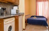 Туры в отель Aparthotel Ona Dorada El Tarter