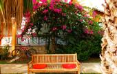 Туры в отель Adrasan Papirus Hotel