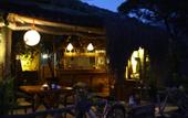 Туры в отель Koala Bungalows