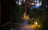 Туры в отель Koala Bungalows