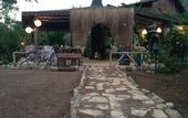 Туры в отель Koala Bungalows