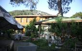 Туры в отель Koala Bungalows