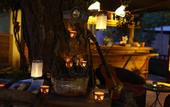 Туры в отель Koala Bungalows