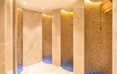 Туры в отель Lankaran Springs Wellness Resort