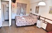 Туры в отель Safed Inn