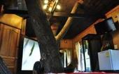 Туры в отель E-Outfitting Resort Doikham