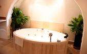 Туры в отель Pina Balev Inn