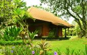 Туры в отель Inna Bali Beach Resort
