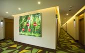 Туры в отель Vatica Shanghai JiaDing District AnTing Metro Station MoYu Road Hotel