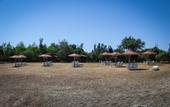 Туры в отель Mavi Dalga Hotel
