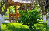 Туры в отель Mavi Dalga Hotel