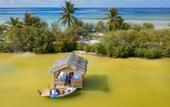 Туры в отель South Palm Resort Maldives