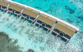 Туры в отель South Palm Resort Maldives