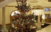 Туры в отель Dolder Grand  de luxe