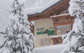 Туры в отель Dolomites Inn hotel Canazei