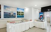 Туры в отель Casa Mia Hotel