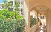 Туры в отель Apartmani Micic