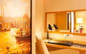 Туры в отель Nidya Hotel Esenyurt
