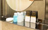 Туры в отель Theodian Hotel