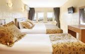 Туры в отель Theodian Hotel