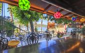 Туры в отель Hotel Villa Daffodil