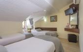 Туры в отель Hotel Villa Daffodil