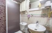 Туры в отель Hotel Villa Daffodil