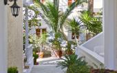 Туры в отель Dolphins Apartments