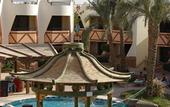 Туры в отель Dolphina Country Club