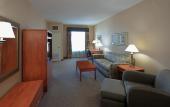 Туры в отель Holiday Inn & Suites Goodyear - West Phoenix Area