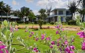 Туры в отель Saint Simeon Resort & Spa Long Hai