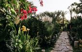Туры в отель Azur Paradise Hotel