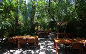 Туры в отель Azur Paradise Hotel