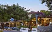 Туры в отель Alexander Beach Hotel & Village