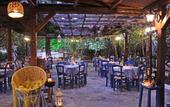 Туры в отель Alexander Beach Hotel & Village