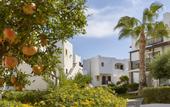Туры в отель Alexander Beach Hotel & Village