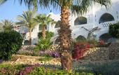 Туры в отель Domina Coral Bay El Sultan