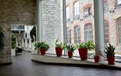 Туры в отель Hestia Hotel Ilmarine