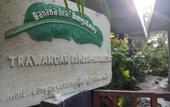 Туры в отель Banana Leaf Bungalow