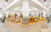 Туры в отель Domina Coral Bay Elisir