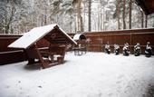 Туры в отель Лосево Парк