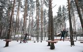 Туры в отель Лосево Парк