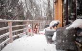 Туры в отель Экоранчо Алексеевка