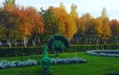 Туры в отель Ижминводы