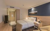 Туры в отель Hampton by Hilton Frankfurt Airport