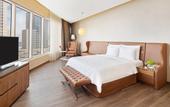 Туры в отель Radisson Blu Hotel, Dubai Canal View